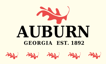 flag of auburn georgia.svg