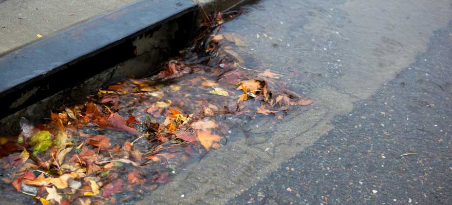 A technician performing preventive maintenance on a storm drain in Lawrenceville, GA. The image shows the inspection of a storm drain system to prevent clogs and flooding.